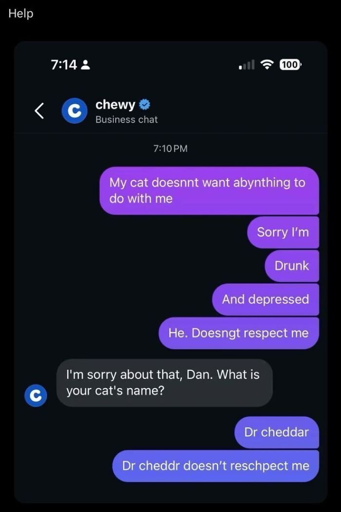 Chat conversation showing unhinged and weird texts about a cat named Dr cheddar not respecting the owner.