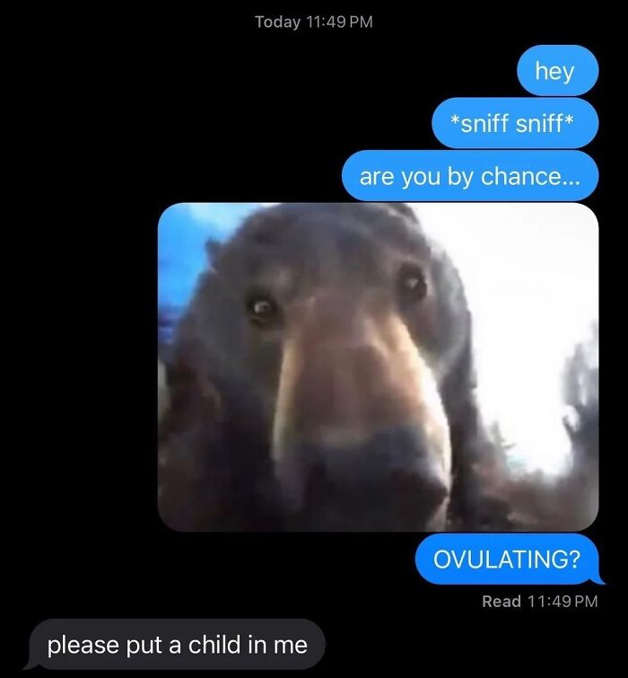 Text message conversation with a funny dog image and unhinged texts that might make you laugh out loud.