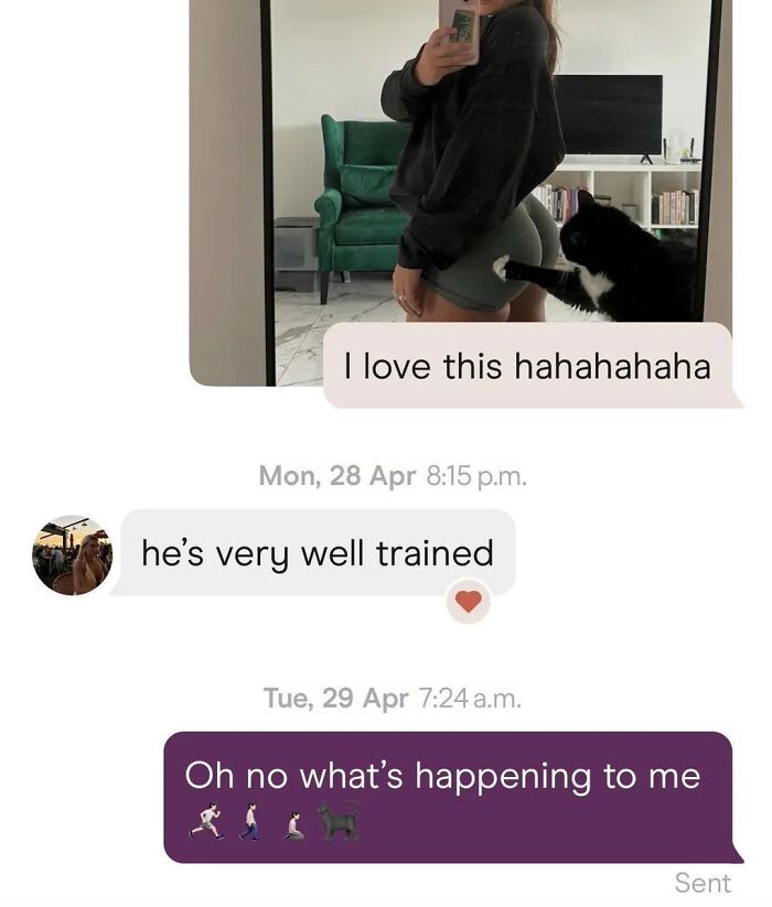 A humorous unhinged and weird text conversation showing a cat touching a person's hip in a funny moment.
