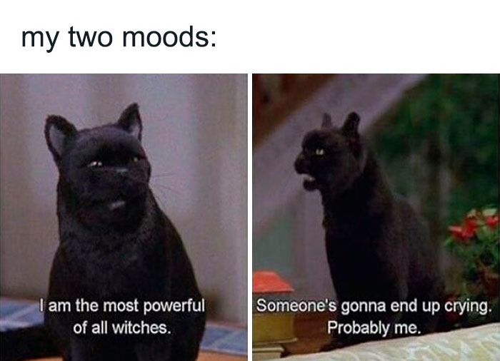 Black cat meme showing two moods with captions about witches and crying, highlighting goth memes for those who don't fit in.