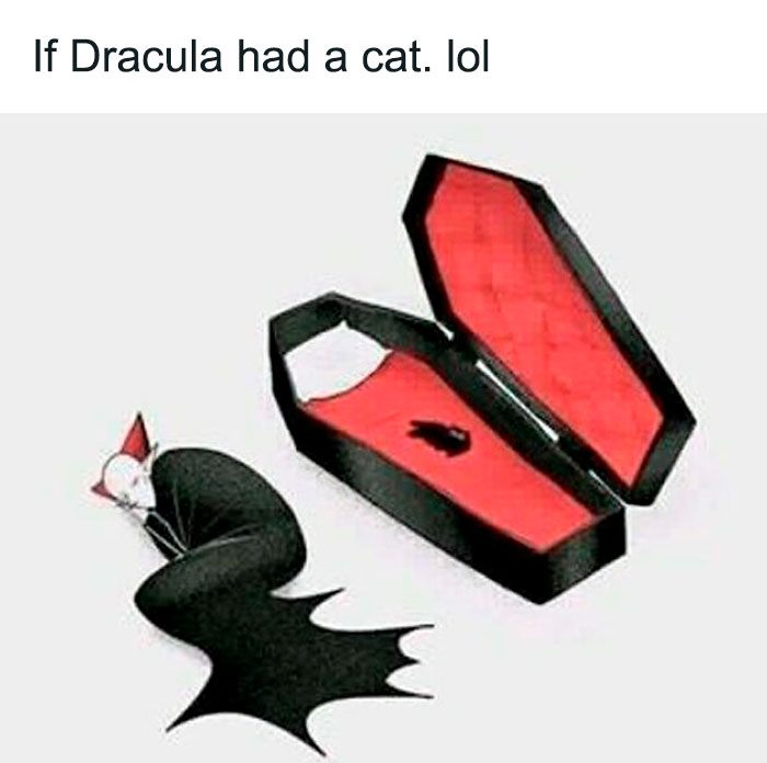 Illustration of a goth cat resembling Dracula with a bat-shaped shadow next to an open coffin, representing goth memes.