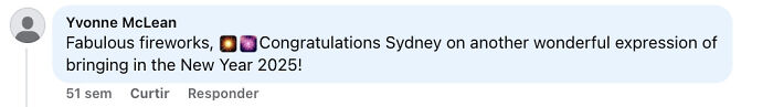Screenshot of a social media comment praising New Year fireworks in Sydney, reflecting public reactions to reserving public space. Screenshot of a social media comment praising New Year fireworks in Sydney, reflecting public reactions to reserving public space.