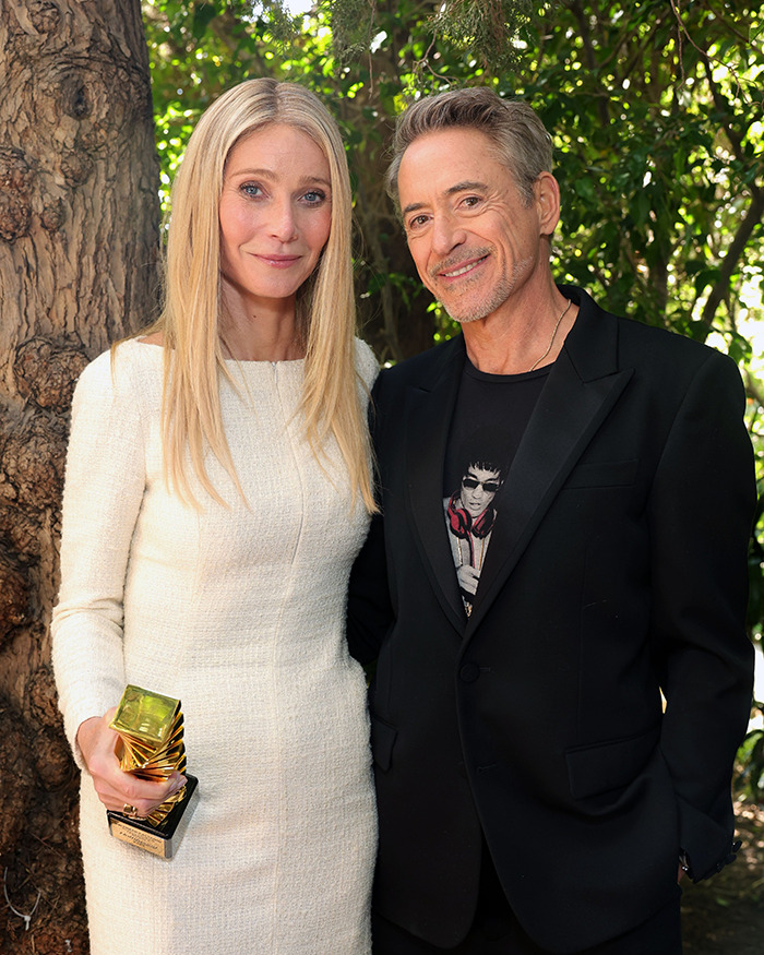 Did Gwyneth Paltrow Throw Major Shade At Tom Holland? His Fans Certainly Think So After Robert Downey Jr.'s Speech