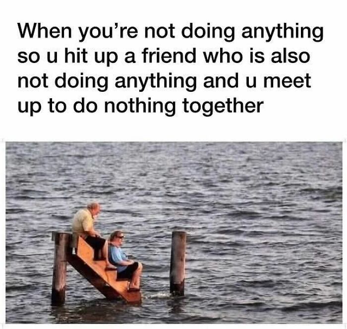 Two friends sitting on wooden steps above water, capturing a funny meme for dark and cold winter days.