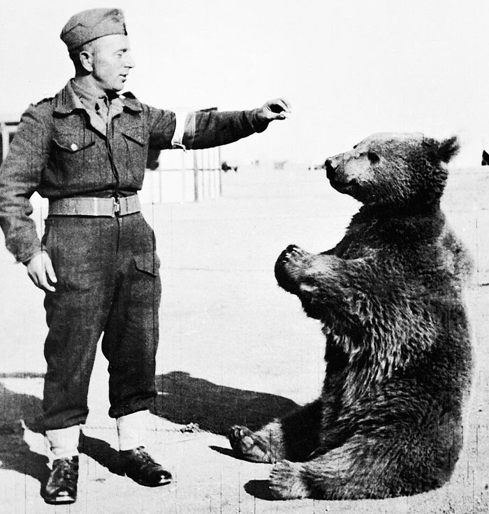 Soldier interacting with a bear, showcasing bizarre facts from history in a rare and unexpected moment.