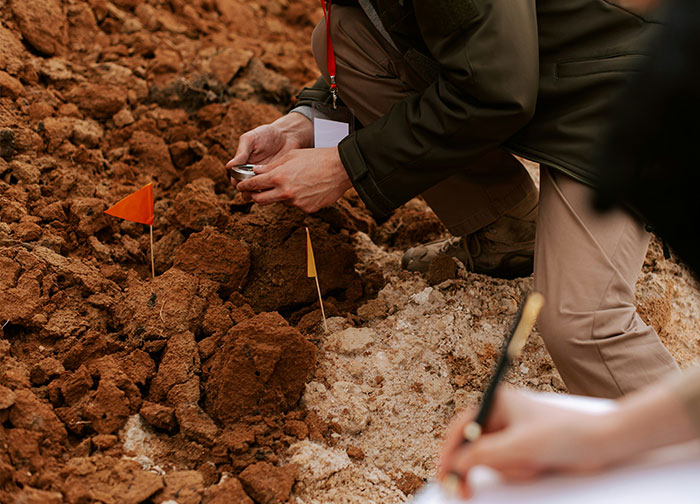 Archaeologist examining soil with flags marking spots, uncovering bizarre facts from history during a dig site.