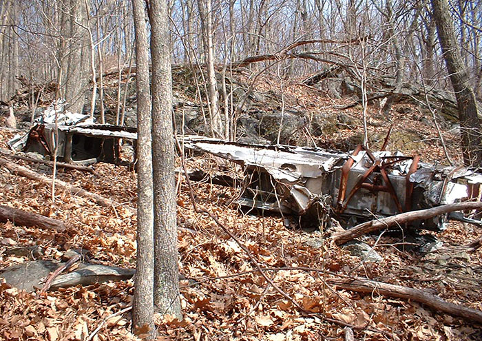 Rusting plane wreckage in a forest setting, surrounded by fallen leaves and bare trees, showing bizarre historical remnants.