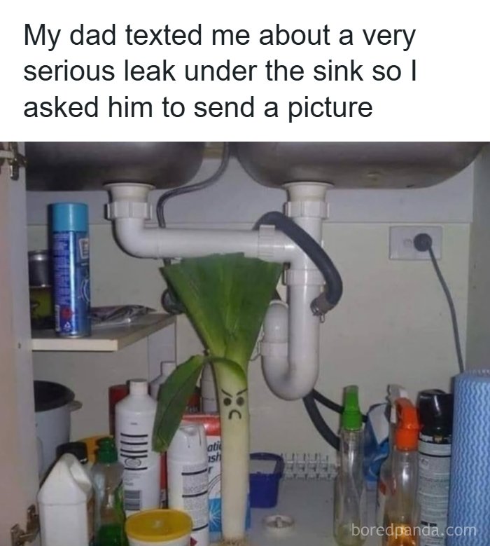 Dad joke post showing a pun with a leek under the sink, part of funniest dad jokes from a dedicated account.