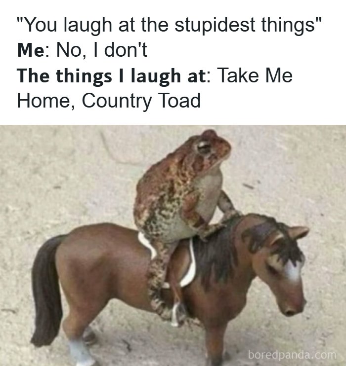 A toad sitting on a toy horse with a dad joke caption about laughing at silly things and country toads.