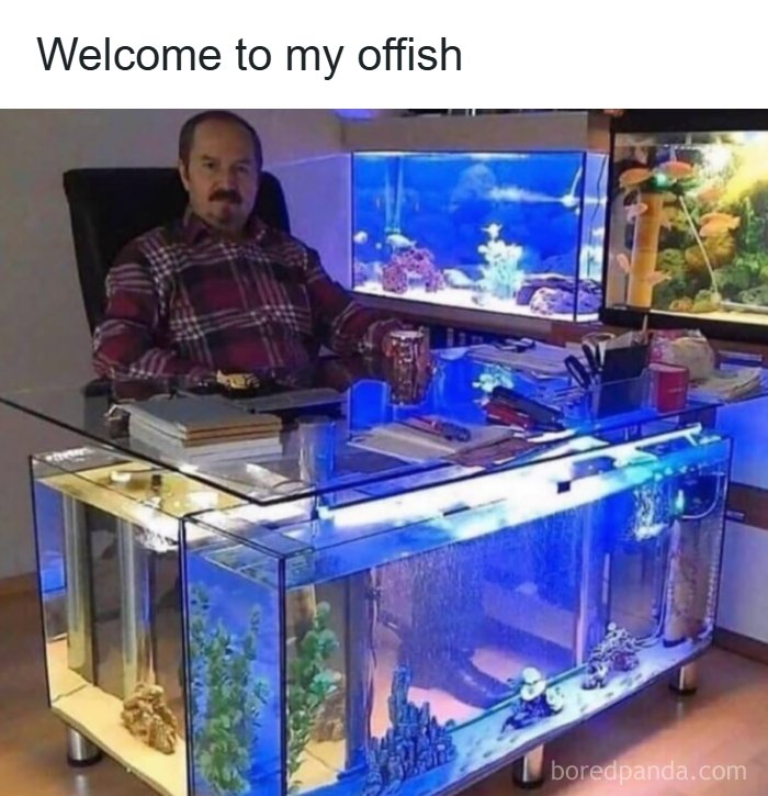 Man sitting at a fish tank desk with aquarium fish inside illustrating one of the funniest dad jokes from this account