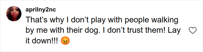 User comment on social media expressing mistrust of people walking with dogs, warning to lay dogs down, with angry emoji.