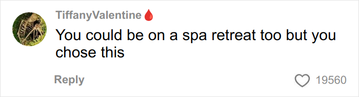 Comment from user TiffanyValentine with a humorous remark about preferring a noisy airplane with kids over a spa retreat.