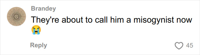 Screenshot of an online comment debating Josh Hutcherson's snarky comment about Taylor Swift, showing user reactions. Screenshot of an online comment debating Josh Hutcherson's snarky comment about Taylor Swift, showing user reactions.