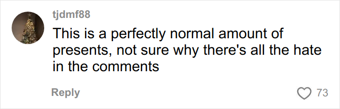 Comment expressing confusion over backlash about the Christmas gift haul for daughter on social media. Comment expressing confusion over backlash about the Christmas gift haul for daughter on social media.