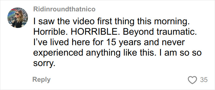 Screenshot of a social media comment reacting to a viral video exposing a serial creep involved in a NYU shove incident.