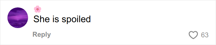 Comment saying she is spoiled, related to Christmas gift haul for daughter backlash on social media. Comment saying she is spoiled, related to Christmas gift haul for daughter backlash on social media.