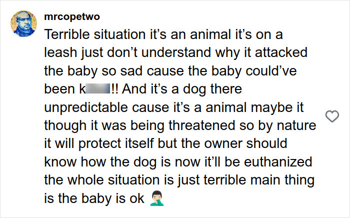 Comment discussing a pit bull attack on toddler, expressing confusion and concern over dog behavior and owner's responsibility.