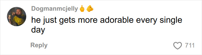 Screenshot of a fan comment praising Elton John amid online trolling about a random kitchen detail.