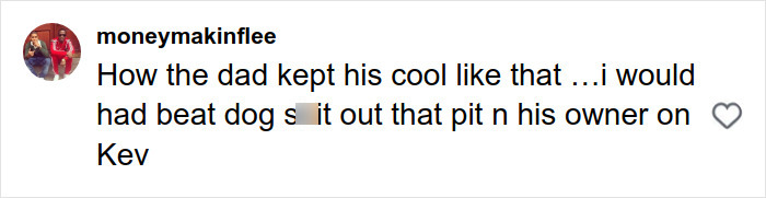 Comment about a pit bull attack, expressing anger towards the dog and owner for the incident in Manhattan.