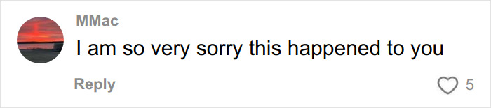 Comment expressing sympathy for woman who broke down in tears on flight after reading body-shaming text from seatmate.