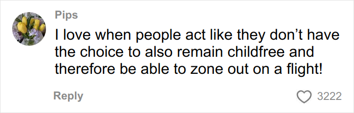 Comment by Pips expressing frustration about the assumption parents and kids cause airplane noise and others must tolerate it.