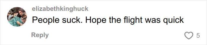 Comment on social media from user elizabethkinghuck expressing disappointment about a flight after witnessing body-shaming text on plane.