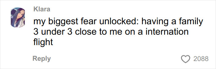Comment from Klara expressing fear of being near a family with young kids on an international airplane, highlighting airplane parents kids noise.