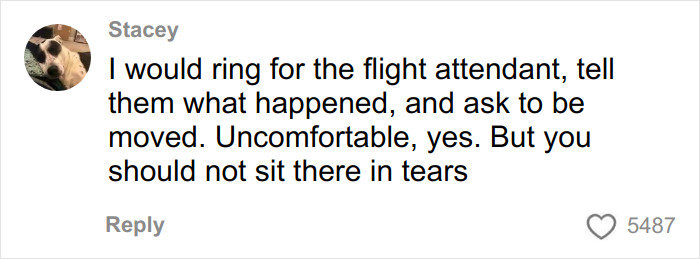 Comment advising to alert flight attendant after witnessing body-shaming text causing woman to break down in tears on flight.
