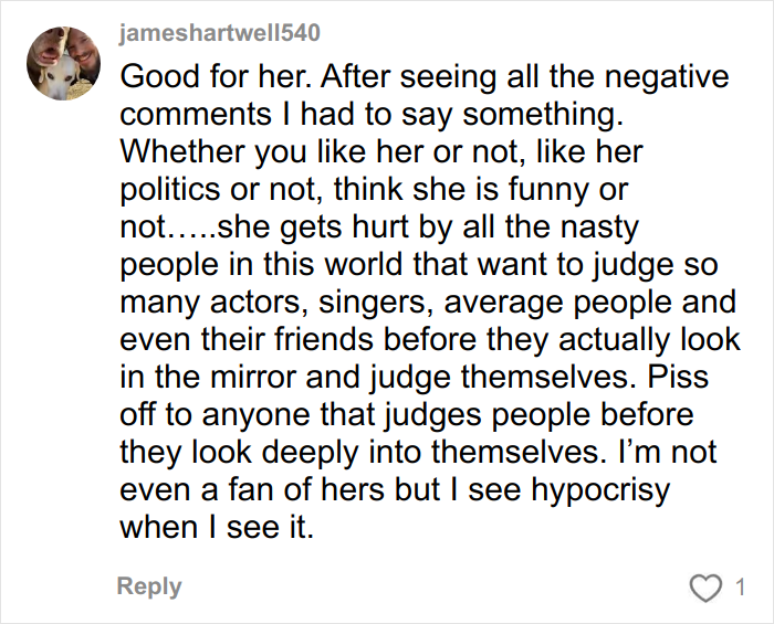 User comment defending Amy Schumer, highlighting negativity and judgment from others on her appearance and character online. User comment defending Amy Schumer, highlighting negativity and judgment from others on her appearance and character online.