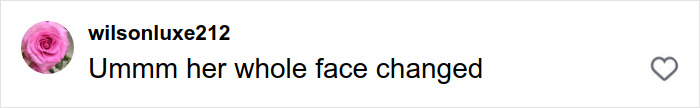 Comment on social media post saying her whole face changed, related to Brittany Snow plastic surgery rumors discussion. Comment on social media post saying her whole face changed, related to Brittany Snow plastic surgery rumors discussion.