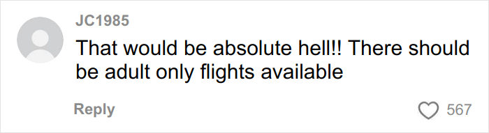 User comment expressing frustration about airplane noise from kids, suggesting adult-only flights for parents seeking quiet travel.