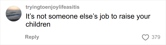 Comment on social media saying it&rsquo;s not someone else&rsquo;s job to raise your children, related to airplane parents and kids noise.