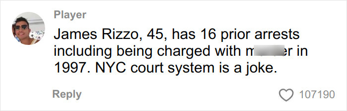 Comment accusing James Rizzo of multiple arrests and criticizing the NYC court system in an online discussion.