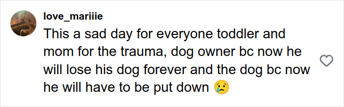 Comment expressing sadness over toddler trauma after pit bull attack and consequences for dog owner and dog.