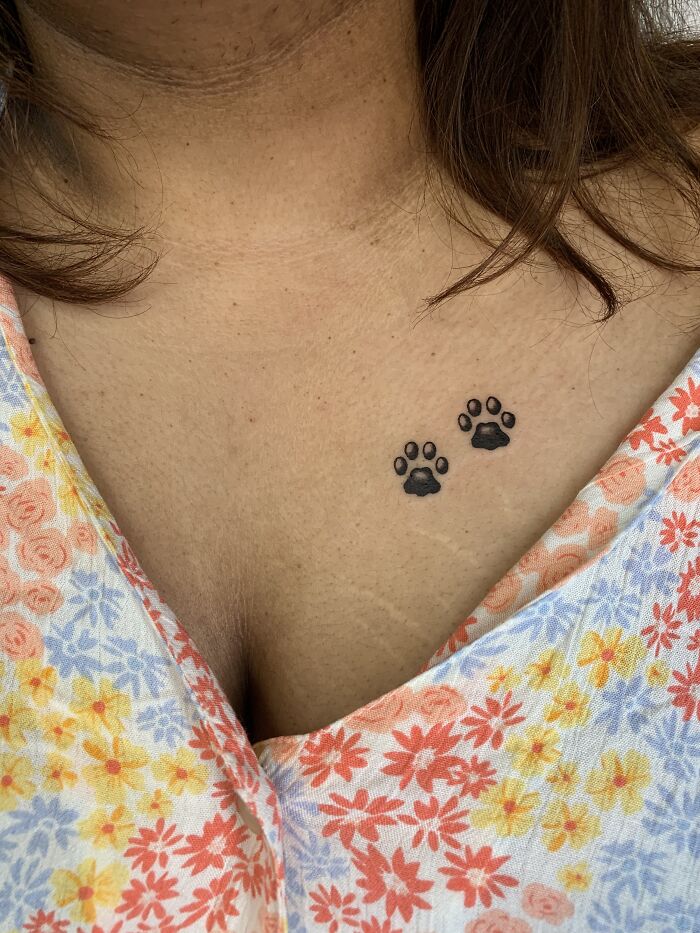 Small pet paw print tattoos on a person’s chest, a beautiful tribute turning memories of pets into lasting ink.