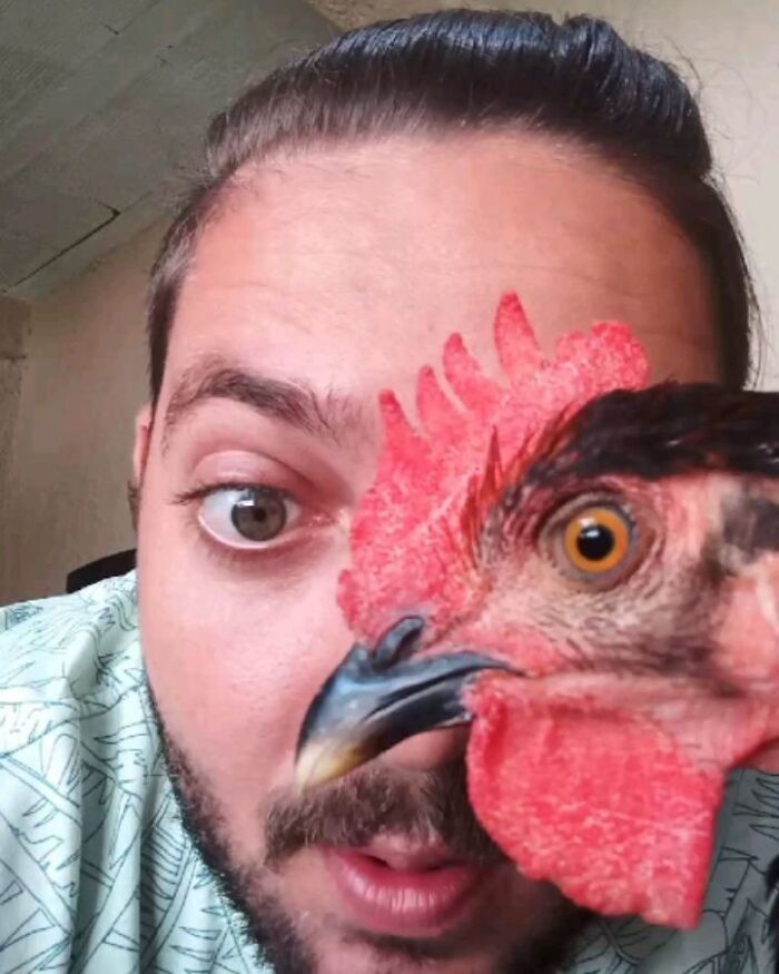 Close-up of a wild vulture and a man showing their unique bond, inspiring viewers to call it a dog with wings.