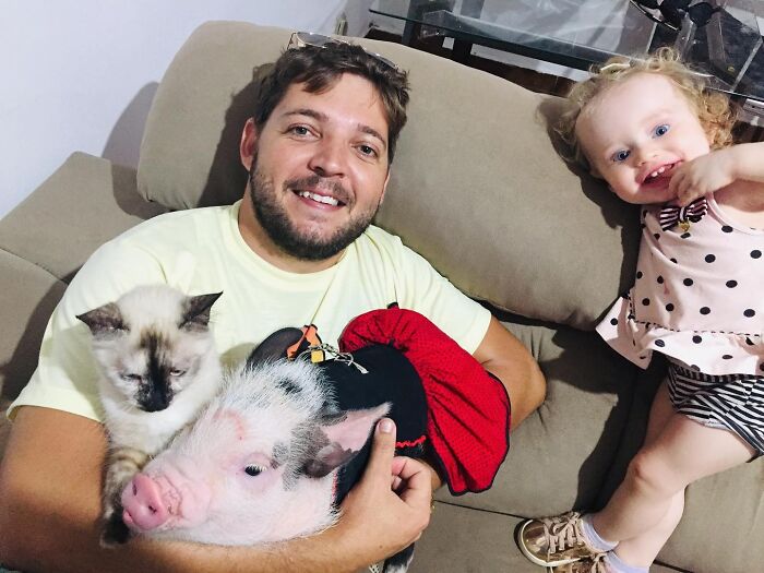 Man sitting on a couch holding a small pig and cat, with a toddler standing nearby, showcasing a close animal bond.