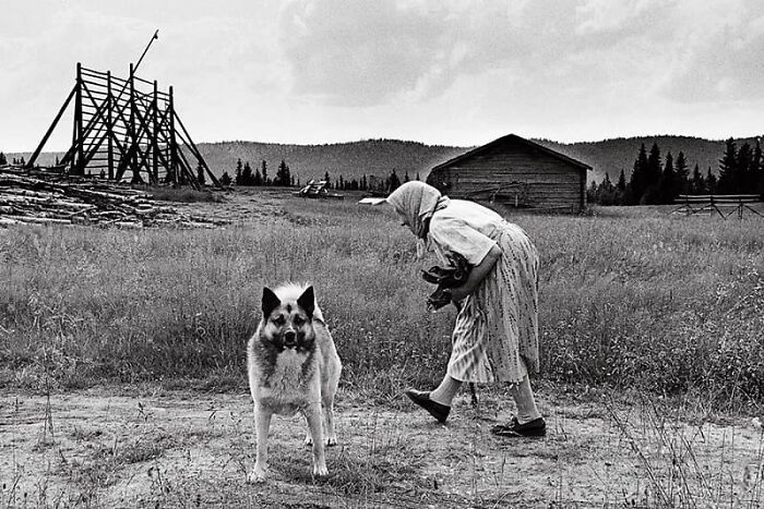 Elderly woman interacting with a dog in a rural field, capturing a wholesome and funny animal moment.