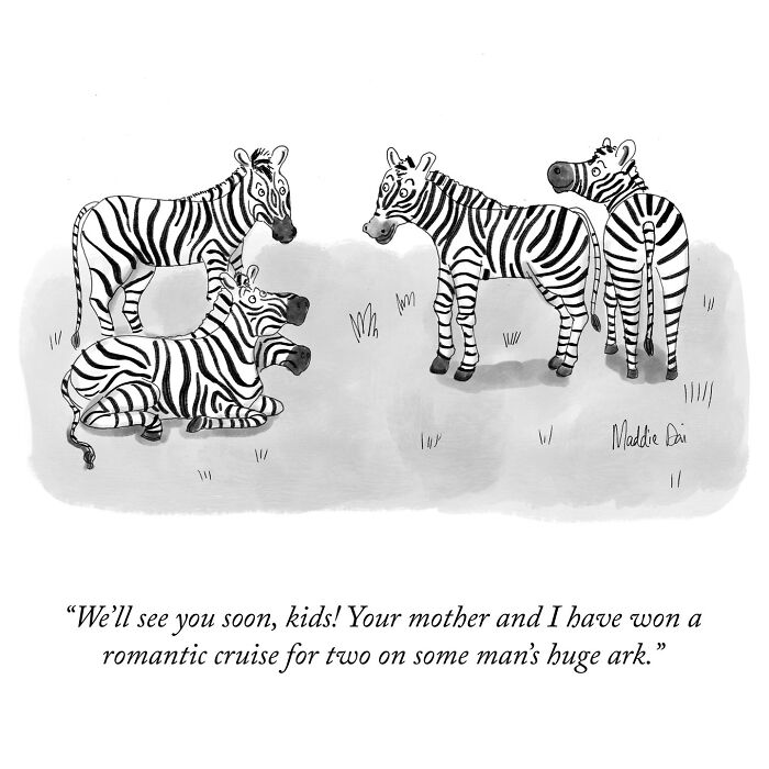 Cartoon by Maddie Dai showing zebras talking humorously about a romantic cruise on a man's huge ark.