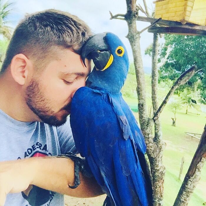A man sharing a close bond with a wild bird, showing affection and connection in an outdoor setting.