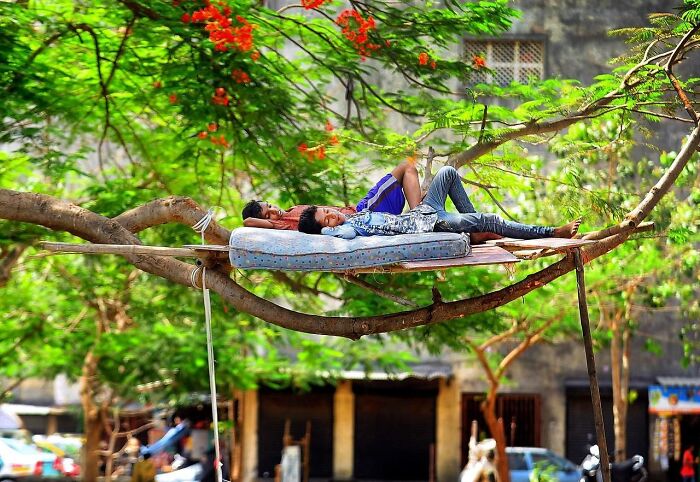 Two boys relaxing on a mattress in a handmade wooden platform hanging from a tree in Mumbai street life.