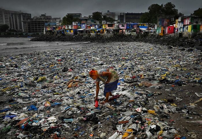 Woman picking plastic waste on a heavily polluted beach, capturing everyday life in Mumbai’s street scenes.
