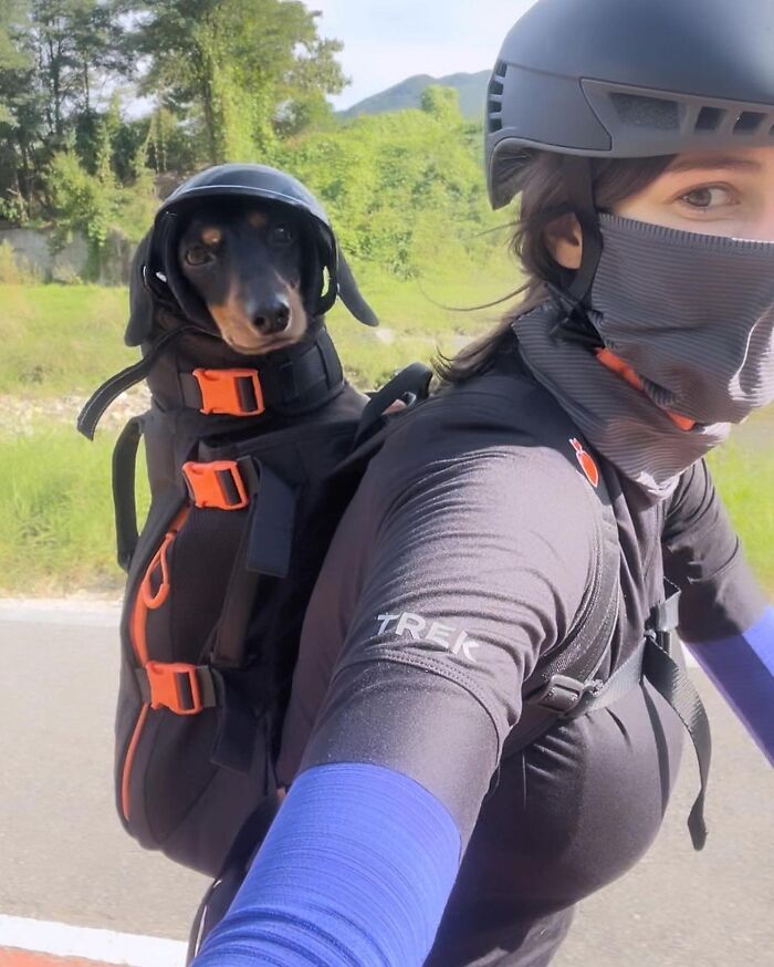 Woman wearing helmet and mask biking with small dog in backpack, showcasing adorable dogs in backpacks on city adventures.