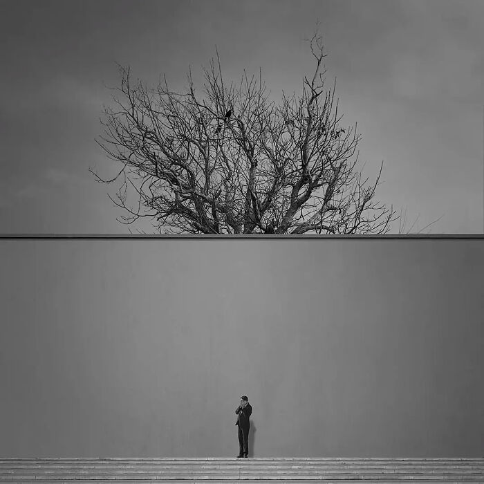 Minimalism in art captured by photographer, featuring a solitary figure against a plain wall with a bare tree above.