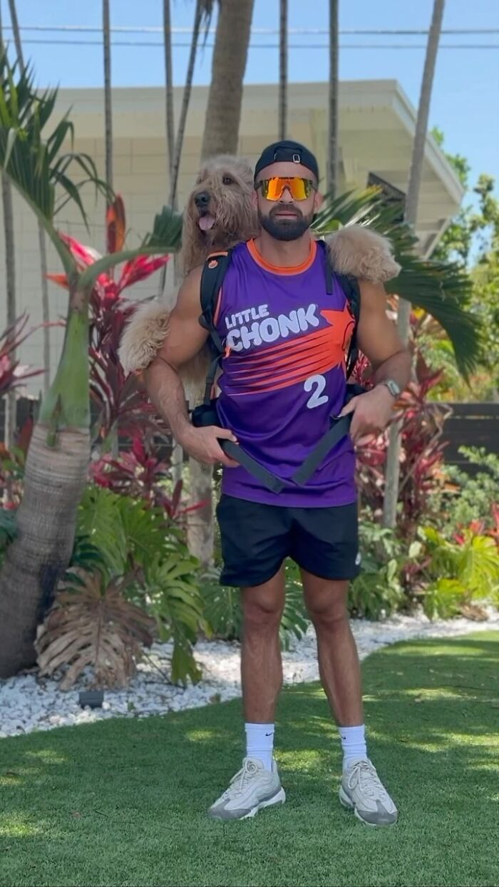 Man wearing sunglasses and a dog in a backpack outdoors, showcasing adorable dogs in backpacks enjoying city adventures.