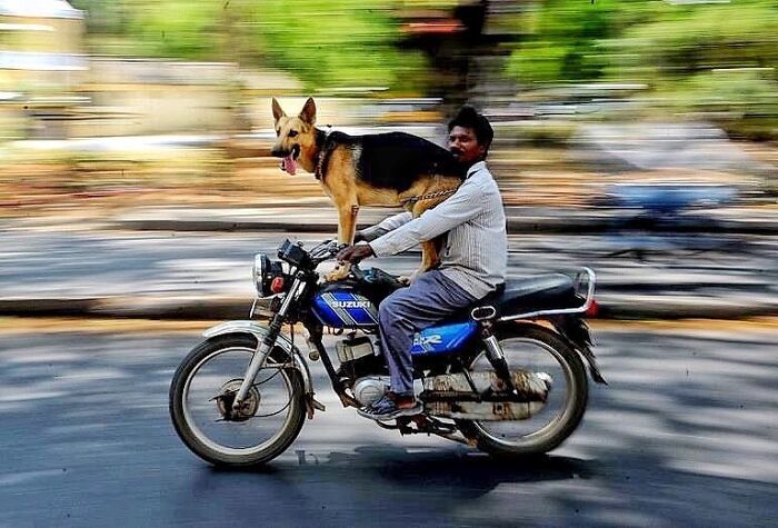 Man riding a motorcycle with a dog standing on the fuel tank, street scene capturing everyday life in Mumbai.