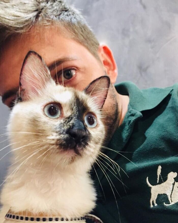 Man in a green shirt closely posing with a Siamese cat, highlighting an unusual bond like a wild vulture and human connection.