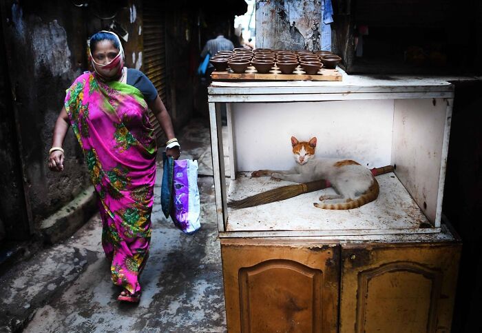 Woman walking past a street vendor stall with clay pots and a cat resting inside, capturing everyday life in Mumbai.