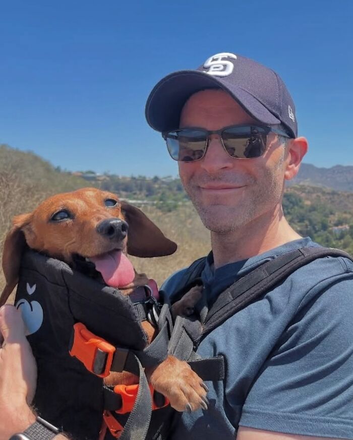 Man wearing sunglasses carrying happy dog in a backpack outdoors, showcasing adorable dogs in backpacks enjoying city adventures.