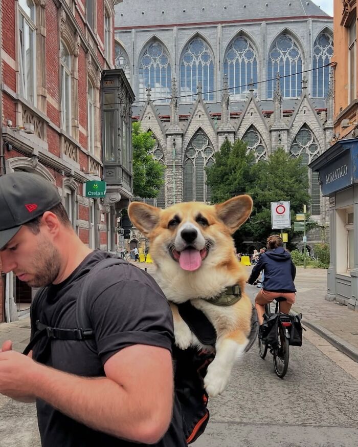 Man carrying a happy dog in a backpack walking through a city street with historic buildings and cyclists nearby.